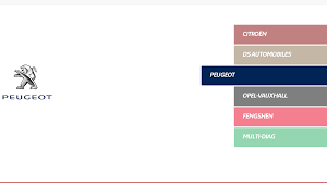DiagBox 9.85 Lexia PP200 Citroen, Peugeot, DS Automobiles & Opel - Diezeltuner Shop