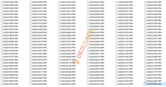 Cat Injector Trim Files Collection + Cat Trim Files Calculator - Diezeltuner Shop 