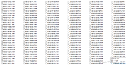 Cat Injector Trim Files Collection + Cat Trim Files Calculator - Diezeltuner Shop 