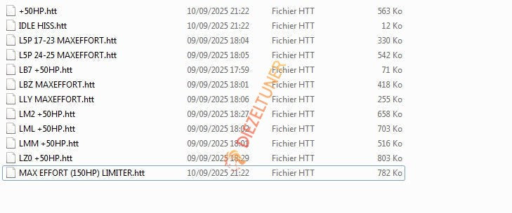 List of files with timestamps and sizes on a computer screen