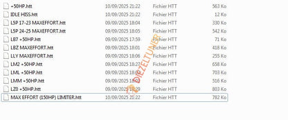 List of files with timestamps and sizes on a computer screen