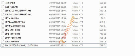 List of files with timestamps and sizes on a computer screen